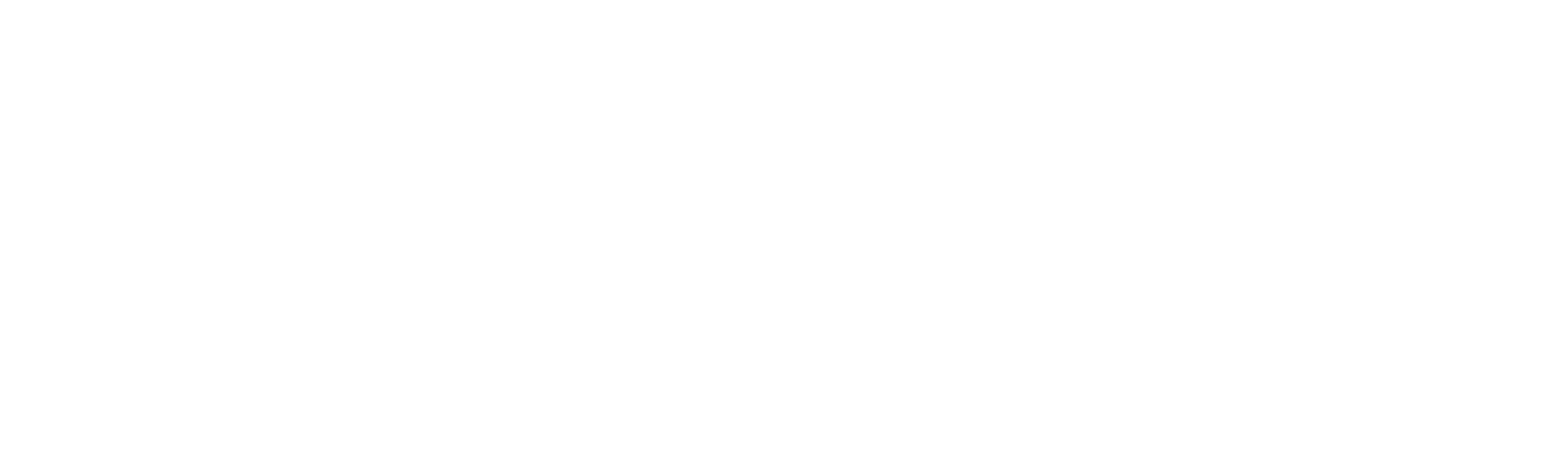 Network of Internet and Society Centers logo